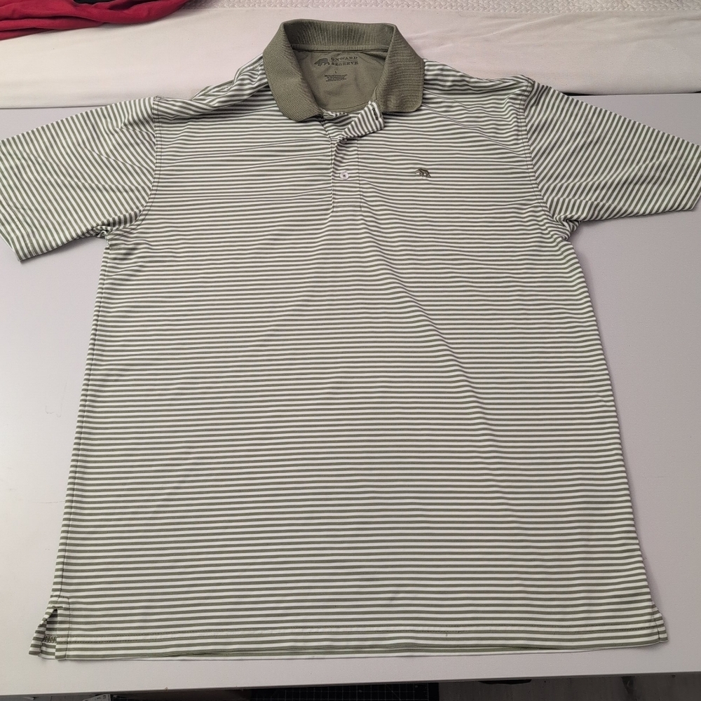 Men's Striped Polo Shirt - Green and White